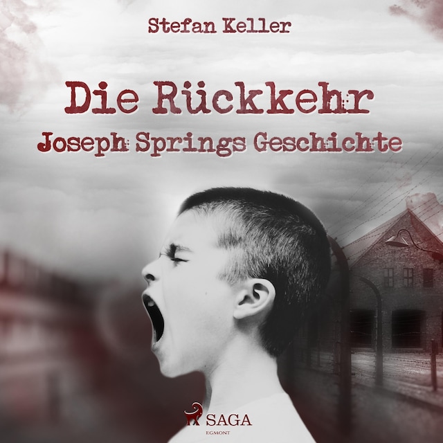 Book cover for Die Rückkehr - Joseph Springs Geschichte (Ungekürzt)