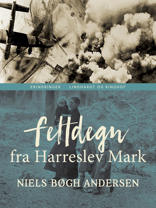 Book cover for Feltdegn fra Harreslev Mark