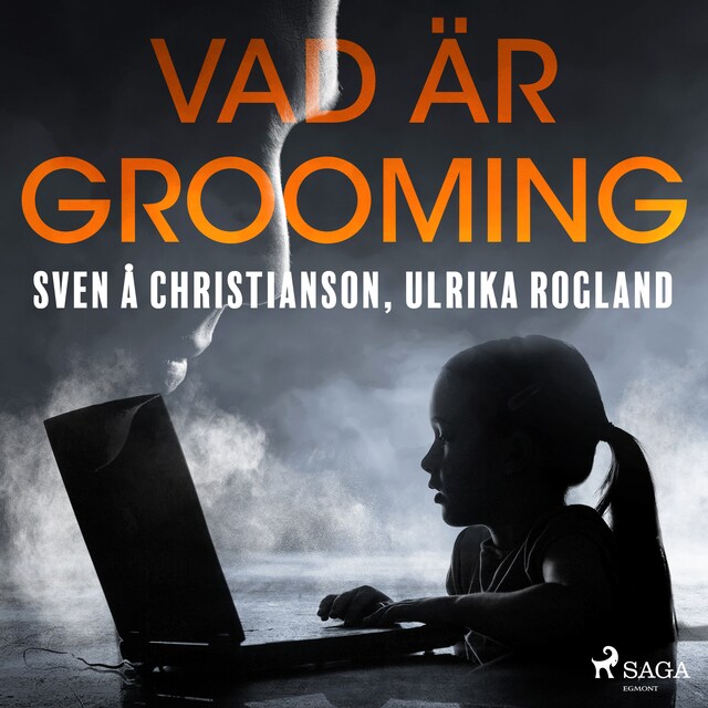 Book cover for Vad är grooming