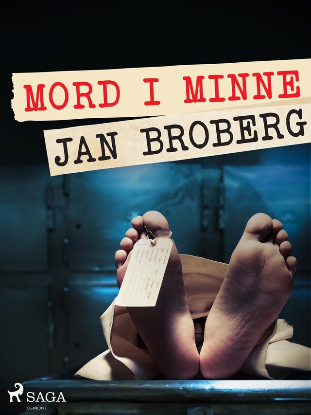 Couverture de livre pour Mord i minne