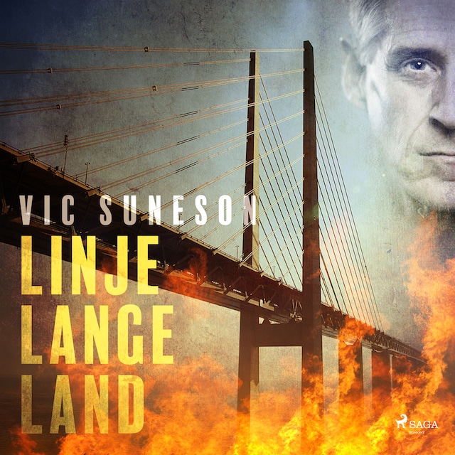 Book cover for Linje Langeland