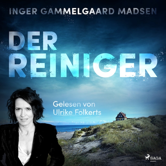 Book cover for Der Reiniger