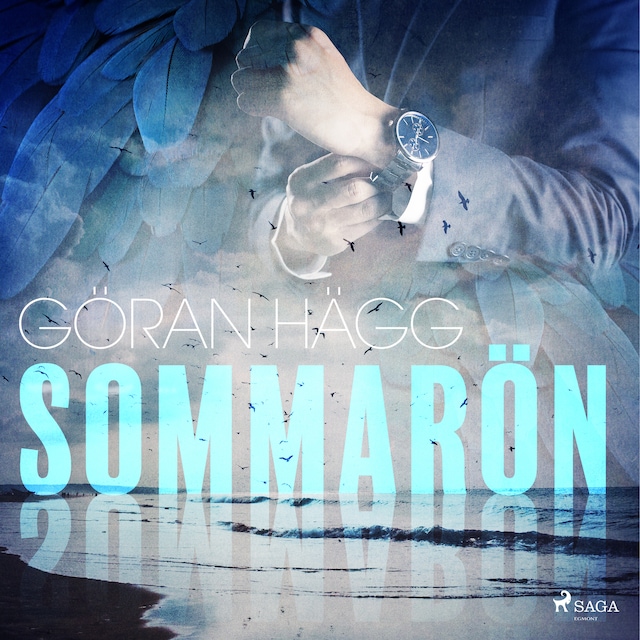Book cover for Sommarön