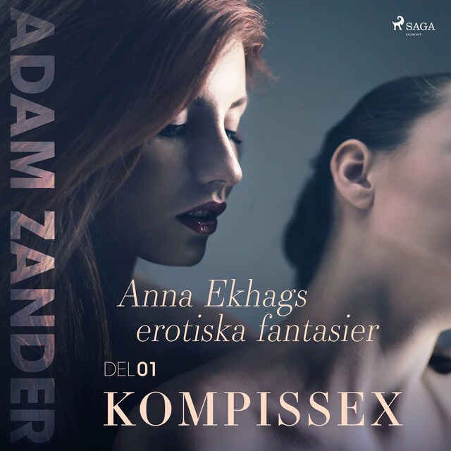 Book cover for Kompissex – Anna Ekhags erotiska fantasier del 1