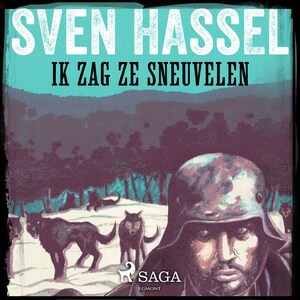 Ik zag ze sneuvelen - luisterboek