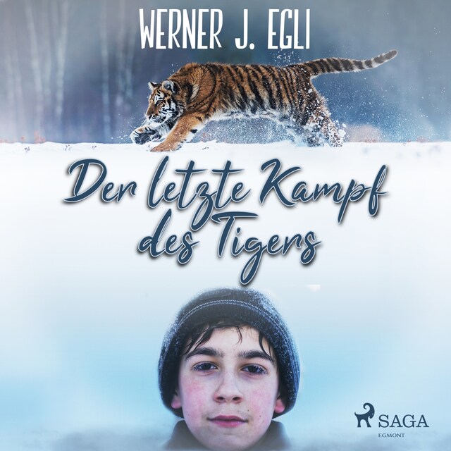 Book cover for Der letzte Kampf des Tigers