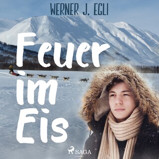 Feuer im Eis als Hörbuch