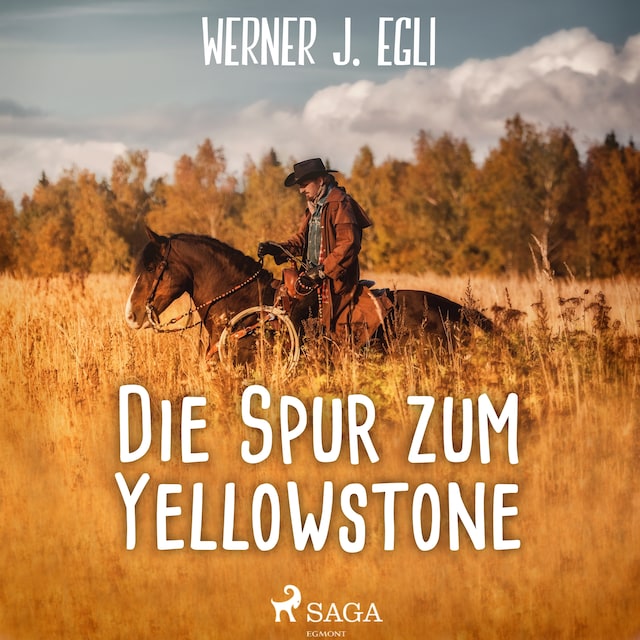 Book cover for Die Spur zum Yellowstone