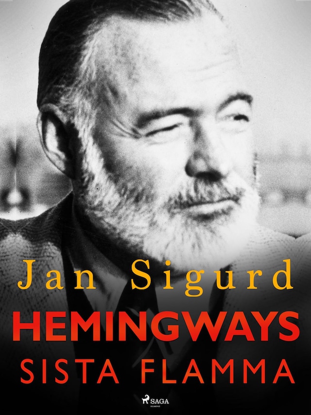 Couverture de livre pour Hemingways sista flamma