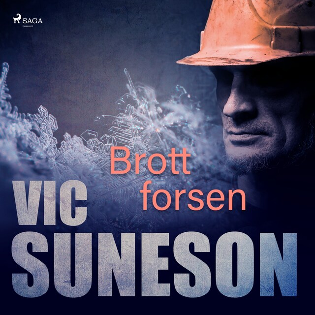 Book cover for Brottforsen