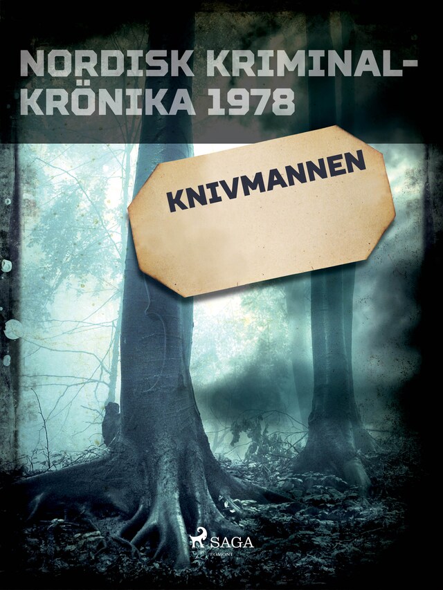 Copertina del libro per Knivmannen