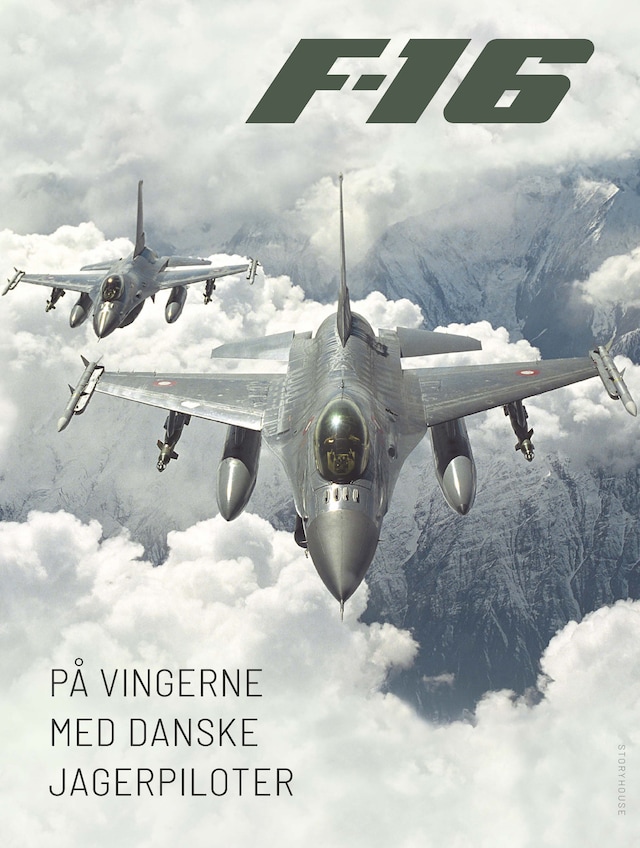 Book cover for F-16