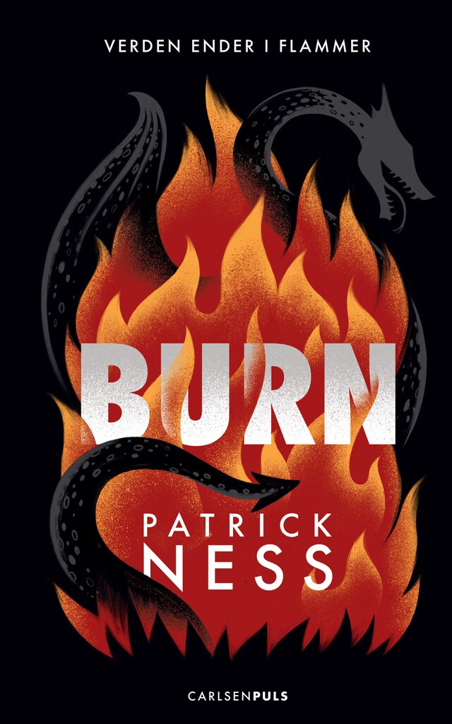 Book cover for Burn