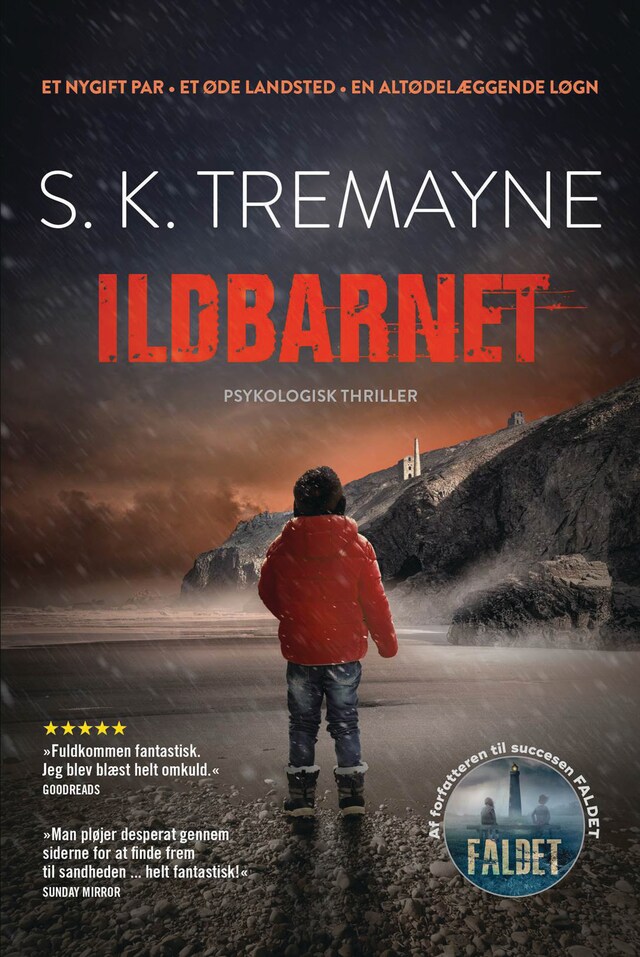 Book cover for Ildbarnet