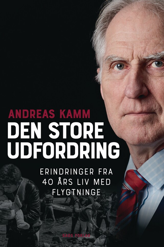 Bogomslag for Den store udfordring