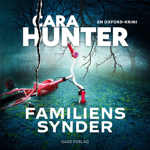 Book cover for Familiens synder