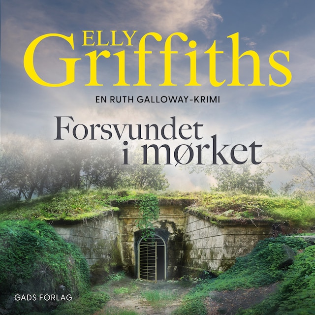 Buchcover für Forsvundet i mørket