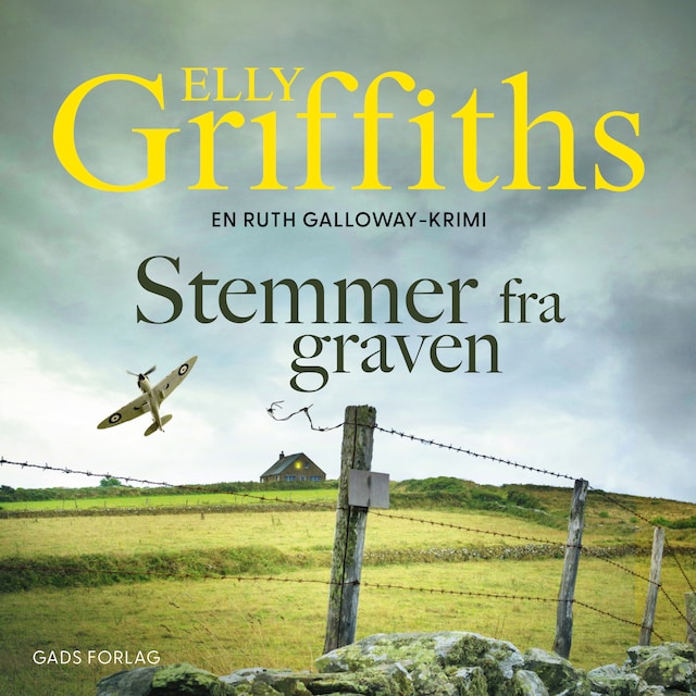 Book cover for Stemmer fra graven
