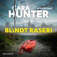 Blindt raseri