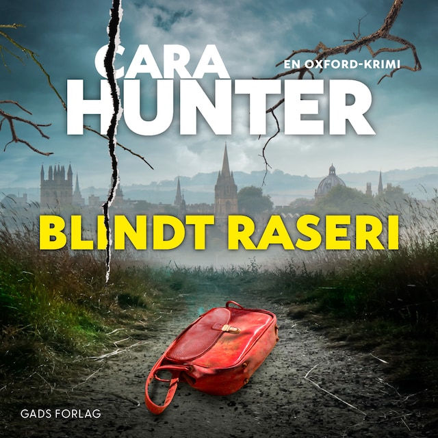 Book cover for Blindt raseri