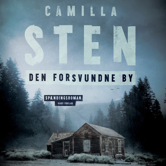 Book cover for Den forsvundne by
