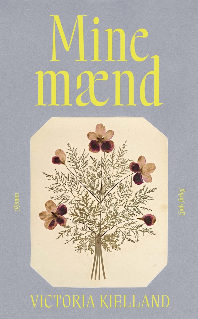 Book cover for Mine mænd
