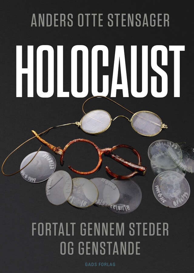 Book cover for Holocaust