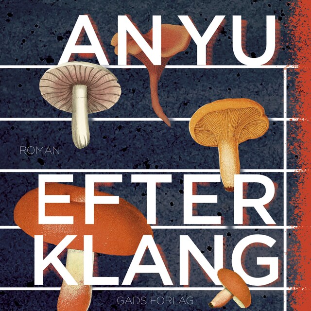 Buchcover für Efterklang