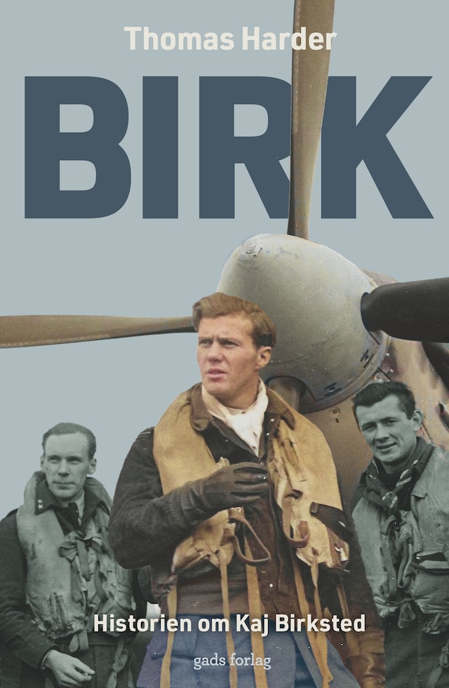 Book cover for Birk