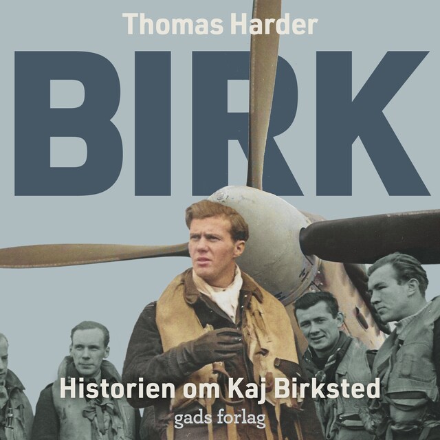 Book cover for Birk