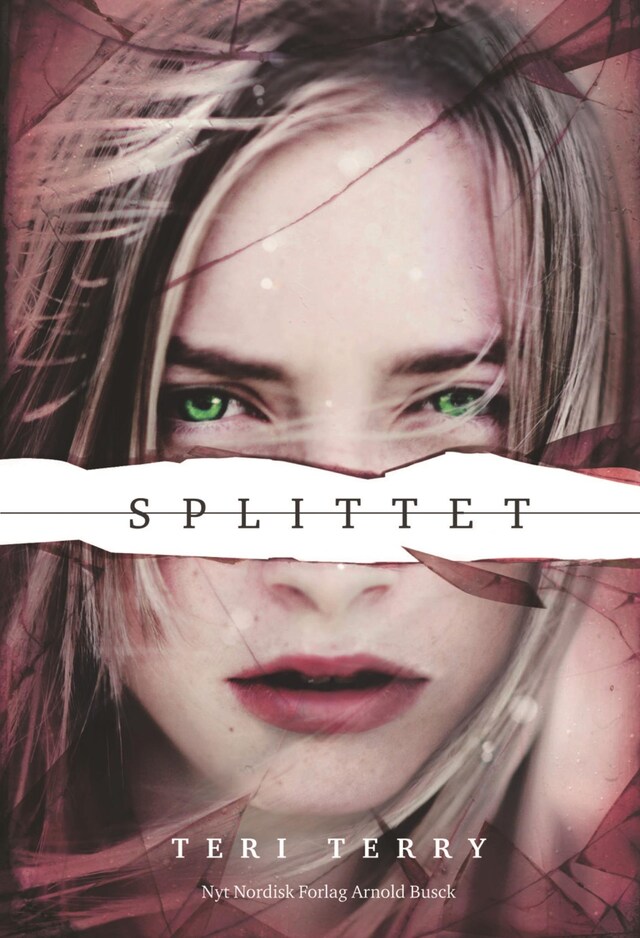 Couverture de livre pour Slettet 2 - Splittet