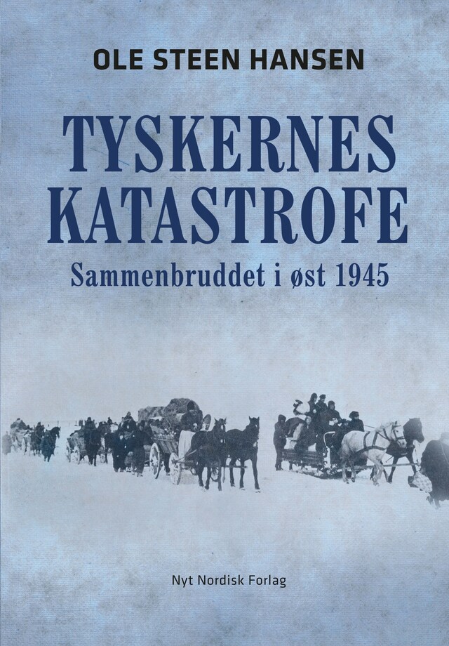 Couverture de livre pour Tyskernes katastrofe