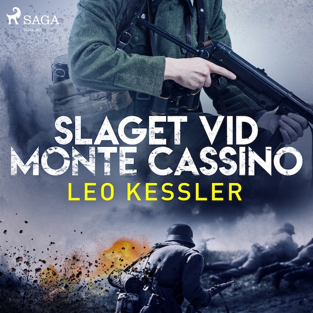 Book cover for Slaget vid Monte Cassino