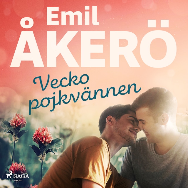 Book cover for Veckopojkvännen