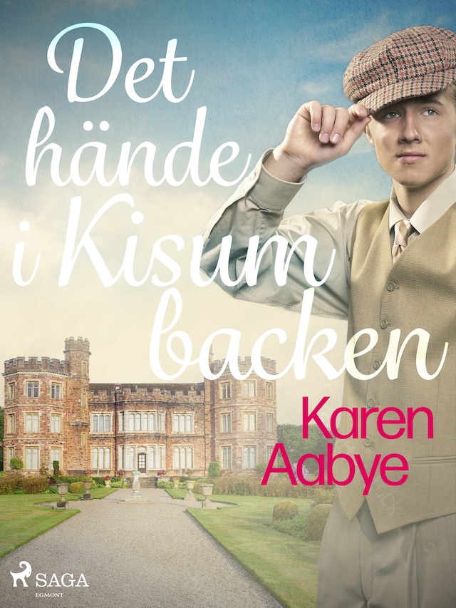 Book cover for Det hände i Kisumbacken