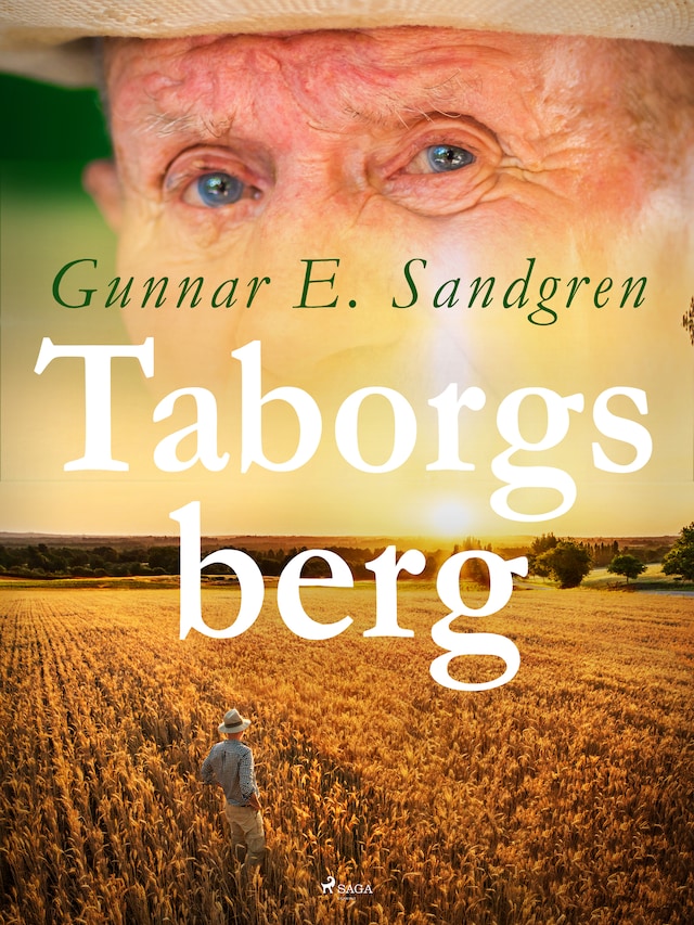 Book cover for Tabors berg