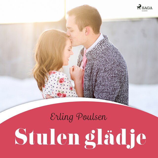 Book cover for Stulen glädje