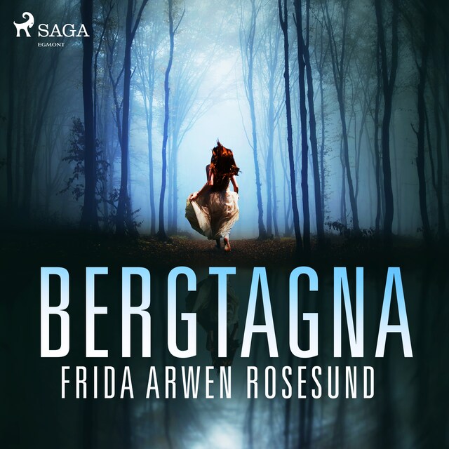 Book cover for Bergtagna