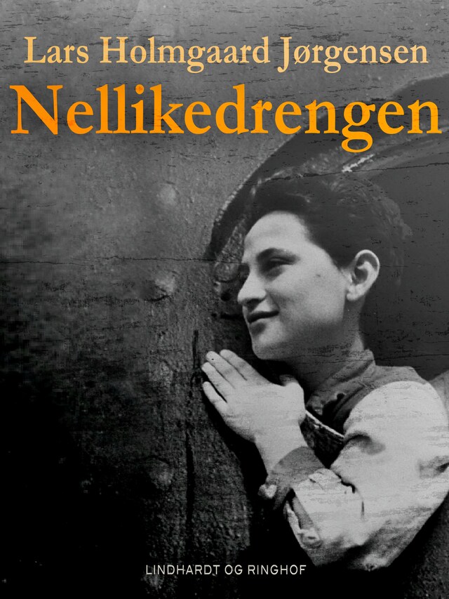 Bogomslag for Nellikedrengen