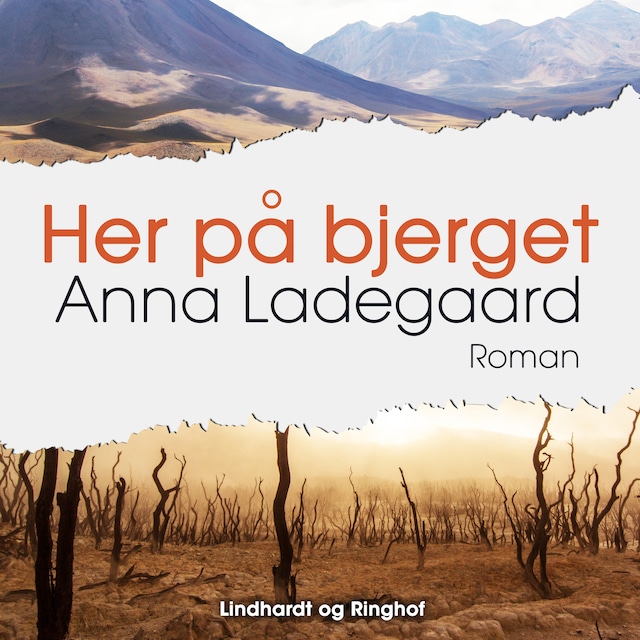Book cover for Her på bjerget
