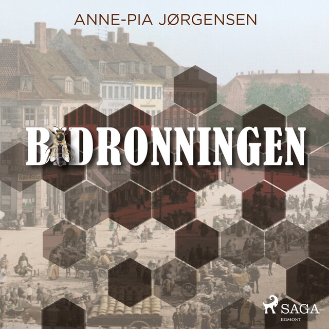 Book cover for Bidronningen