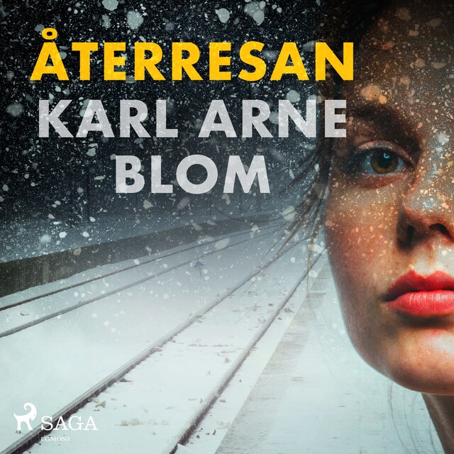 Book cover for Återresan
