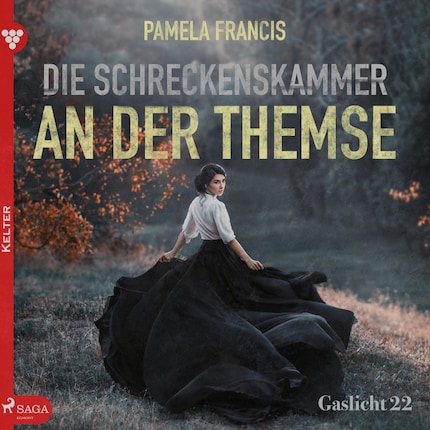 Gaslicht 22 bookCoverFor