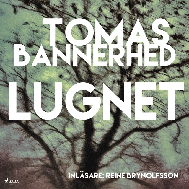 Book cover for Lugnet