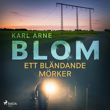 Ett bländande mörker bookCoverFor