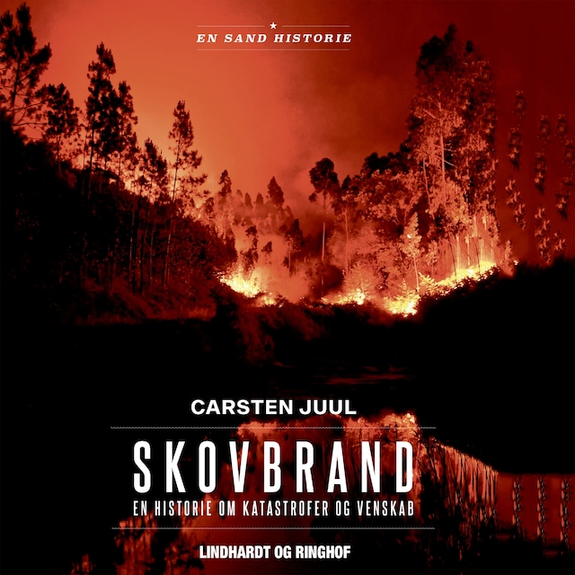 Book cover for Skovbrand