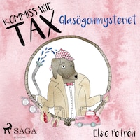 Kommissarie Tax: Glasögonmysteriet