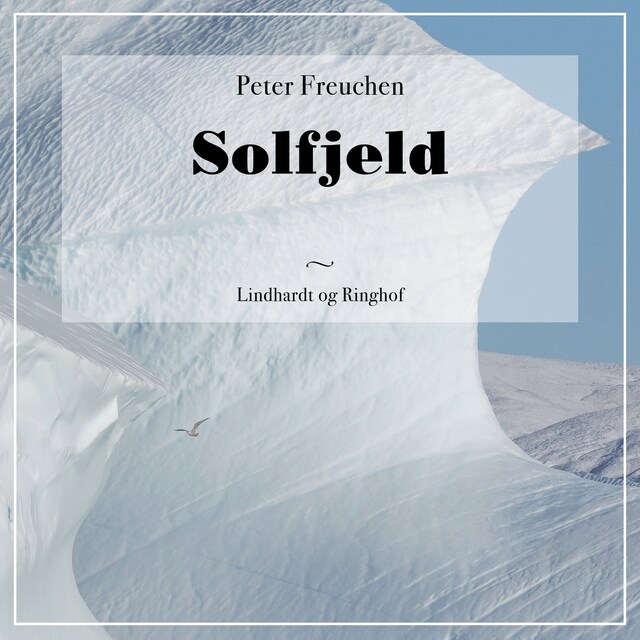 Book cover for Solfjeld
