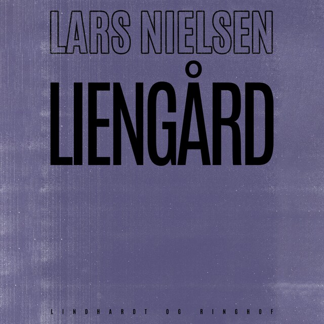 Book cover for Liengård