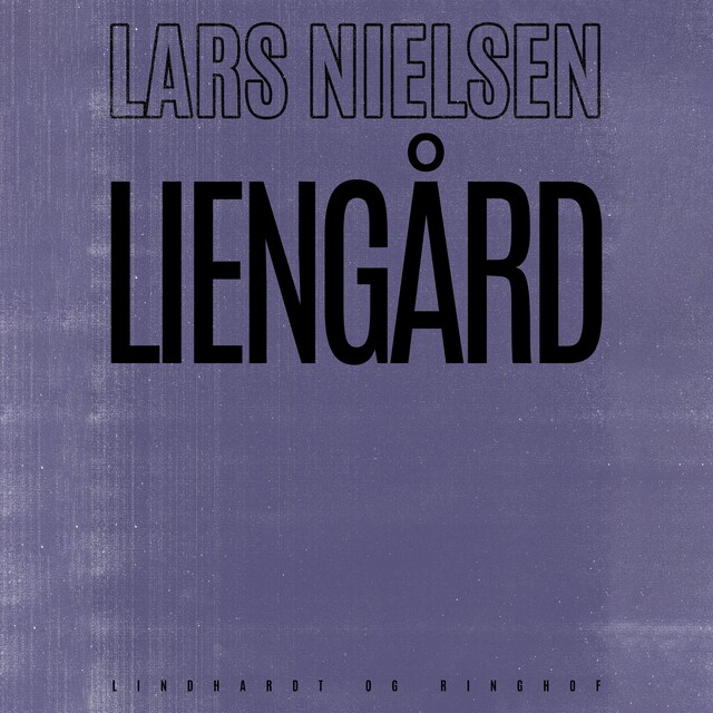 Portada de libro para Liengård